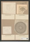 Arachnodiscus ehrenbergii Bail. et Ehr. (de-Toni-Nr.: Genus 204, Species 5210) Zeichnungen Sammlung Grunow Nr. 8996 (NHMW-BOT-W0378697)